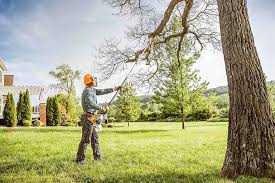 Best Hedge Trimming  in Circle Pines, MN